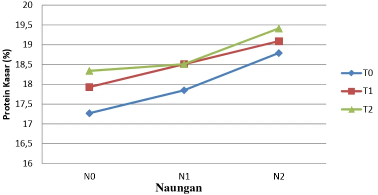 Gambar 1. Grafik kandungan protein kasar pastura dari interaksi beberapa naungan dan pemupukan (%) 