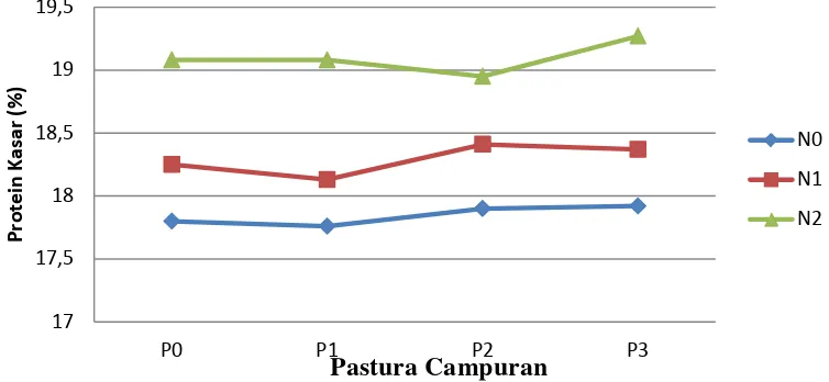 Gambar 2. Grafik kandungan protein kasar pastura dari interaksi beberapa naungan dan pastura campuran (%) 