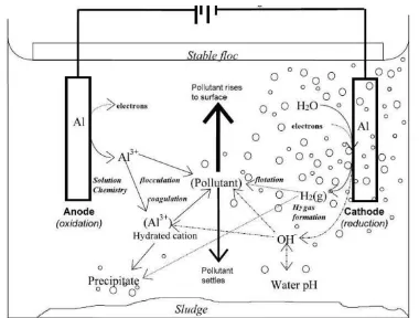 Gambar 1.  Mekanisme di dalam elektrokoagulasi (Holt, 2002) 