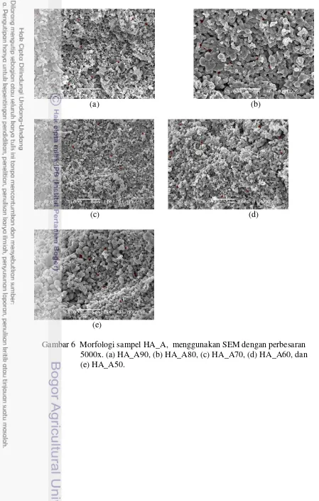 Gambar 6  Morfologi sampel HA_A,  menggunakan SEM dengan perbesaran 