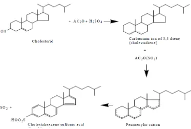 Gambar 3.4. Reaksi uji fitokimia steroid 