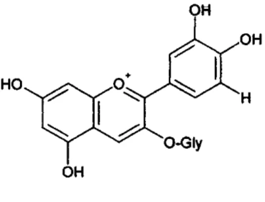 Gambar 7. Struktur fenolik  b. Flavonoid 