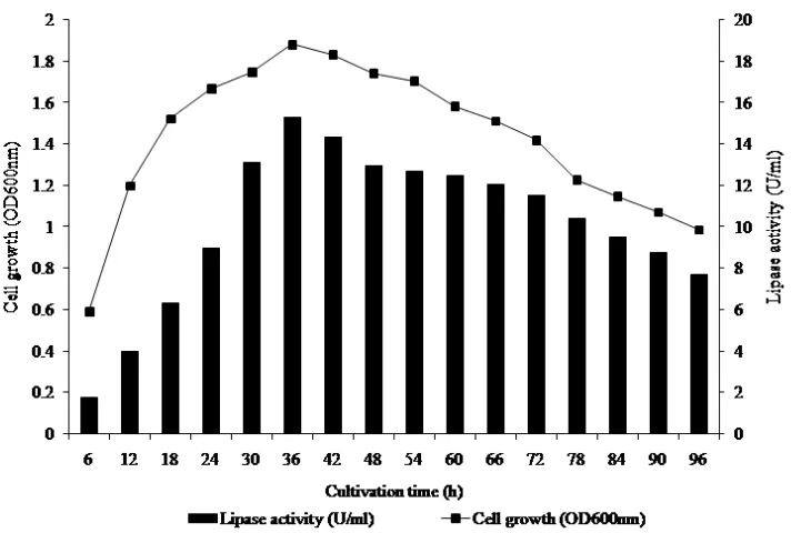 Fig. 1. Effect of culture time on lipase production by Pseudomonas aeruginosa. 