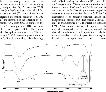 Fig. 5 . FT-IR spectra of modified nanoparticles (a) Fe3O4, (b) silica-magnetic nanoparticles, (c) immobilized lipase 