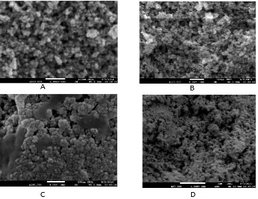 Fig. 6.  FE-SEM image of (a) Fe3O4, (b) silica-magnetic nanoparticles, (c) silica magnetic-glutaraldehyde, (d) immobilized lipase