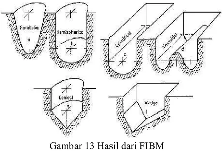 Gambar 14 Skema FIBM