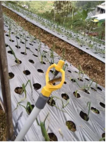 Gambar 2. Penggunaan sprinkler 