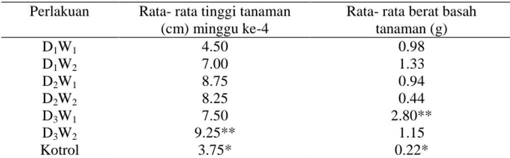 Tabel 1 Rata-rata tinggi dan berat basah tanaman selada  