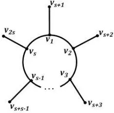 Gambar 1.1 : Bentuk umum graf primitif s-ring star (R)