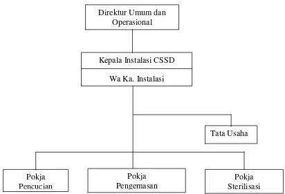 Gambar 3.2 Struktur organisasi instalasi central sterilized supply department  (CSSD) RSUP H