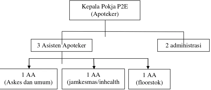 Gambar 3.1 Struktur kerja pokja P2E 