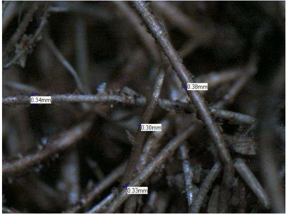 Gambar 3 Foto sampel serat sabut kelapa dibawah mikroskop dengan pembesaran 50X 