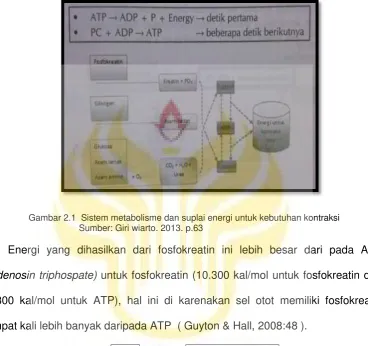 Gambar 2.2  Proses pembentukan energi 