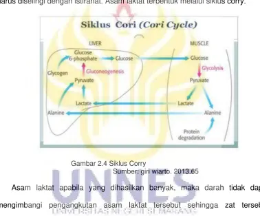 Gambar 2.4 Siklus Corry 
