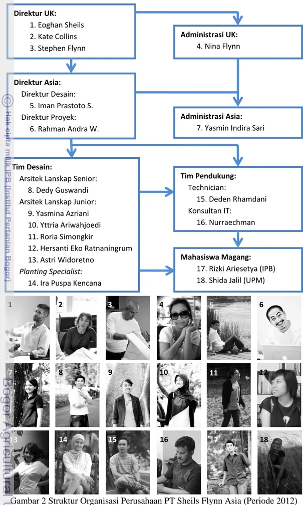 Gambar 2 Struktur Organisasi Perusahaan PT Sheils Flynn Asia (Periode 2012) 