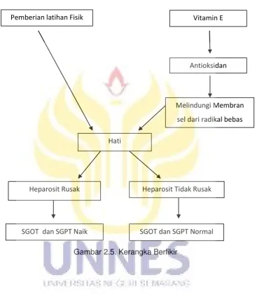 Gambar 2.5. Kerangka Berfikir 