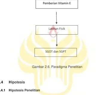 Gambar 2.6. Paradigma Penelitian 