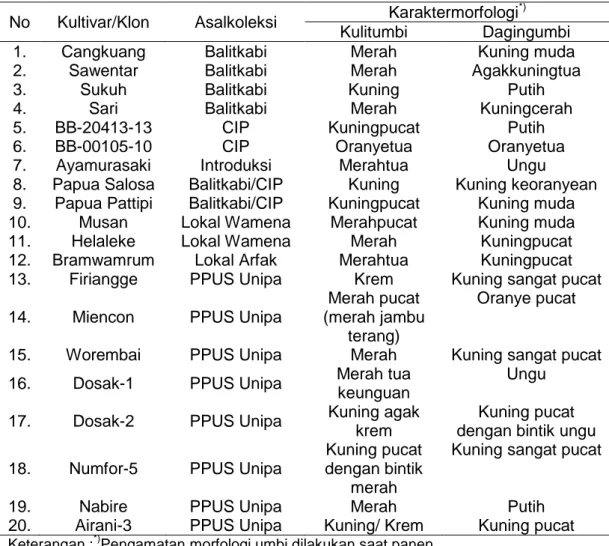 Tabel  1.Karaktermorfologi  dan  asal  plasma  nutfah  ubijalar  di  Lembah  Balliem   Kabupaten Jayawijaya 
