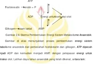 Gambar 2.6 Skema Pembentukan Energi Sistem Metabolisme Anaerobik 