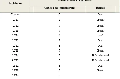 Tabel 4.2 Pengamatan Morfologi sel Saccharomyces sp. Setelah Radiasi Ultraviolet  Karakteristik Pengamatan 