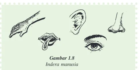 Gambar 1.8Indera manusia