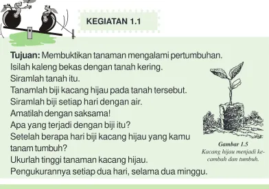Gambar 1.6Pertumbuhan pada manusia