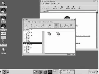 Figure 1–2A GNOME Desktop