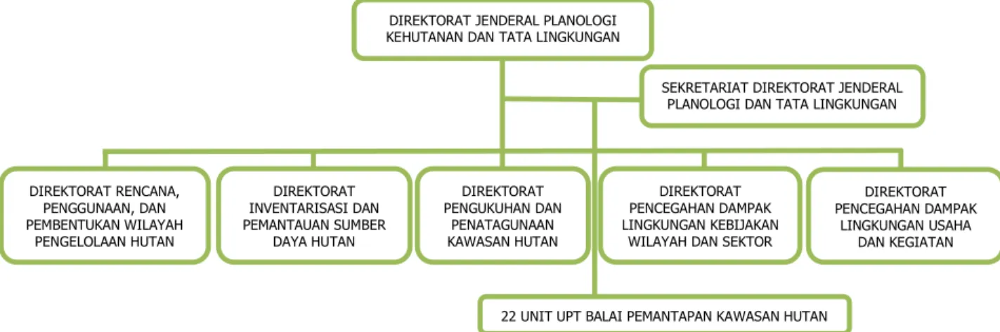 Gambar 3. Struktur Organisasi Ditjen Planologi kehutanan dan Tata Lingkungan  