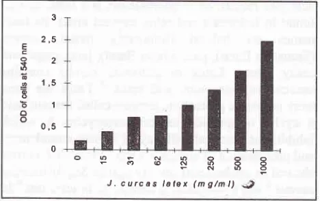 Figure l. OD at 540 nm ofseveral concentration ofJ. curcaslatex in medium. J. curcas solution has its own absorbance