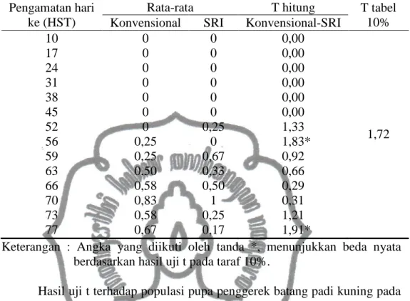 Tabel  2.  Rata-rata  populasi  pupa  penggerek  batang  padi  kuning  (per  3  rumpun) pada perlakuan konvensional dan SRI  