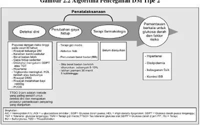 Gambar 2.2 Algoritma Pencegahan DM Tipe 2 