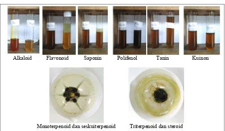 Gambar 5. Penapisan Fitokimia Ekstrak Daun Karuk (Piper sarmentosum Roxb.) 