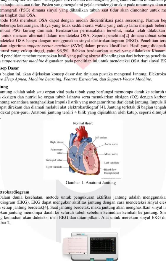 Gambar 1. Anatomi Jantung   2.2.  Elektrokardiogram 