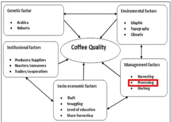 Gambar 1. Faktor-faktor yang mempengaruhi kualitas  kopi (Yadessa et al., 2020) 