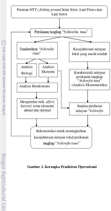 Gambar 2. Kerangka Pemikiran Operasional 