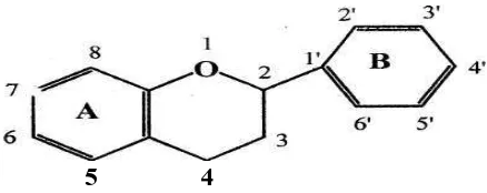 Gambar 3. Sistem penomoran pada struktur dasar flavonoida 