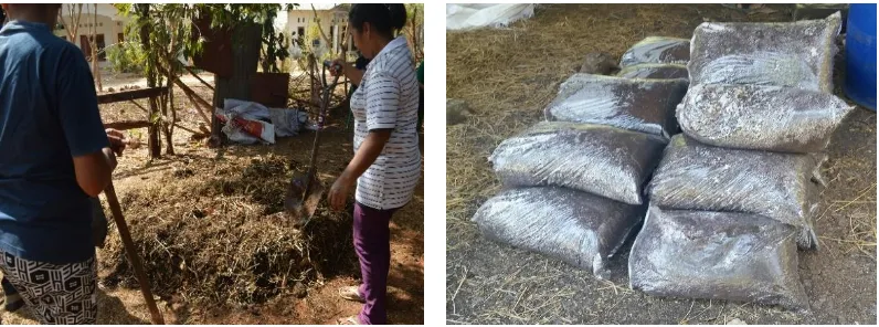 Gambar 2. Produksi pupuk Bokashi oleh Kelompok Mitra 