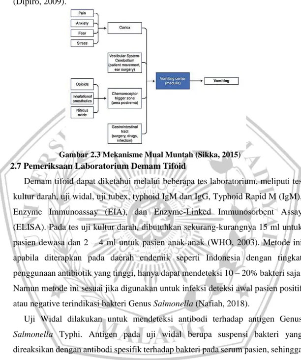 Gambar 2.3 Mekanisme Mual Muntah (Sikka, 2015)  2.7 Pemeriksaan Laboratorium Demam Tifoid 