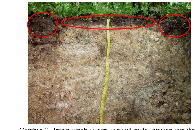 Gambar 3  Irisan tanah secara vertikal pada tegakan sonobrit 