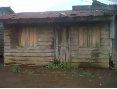 Gambar ini menunjukkan bentuk rumah yang dibangun oleh dinas sosial di dusun Kuta Kendit 