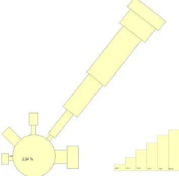 Gambar 2. Diagram Mawar Angin  