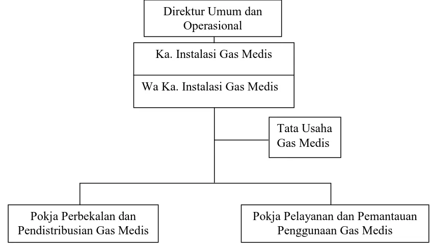 Gambar 3. 3 Struktur organisasi instalasi gas medis RSUP H. Adam Malik 