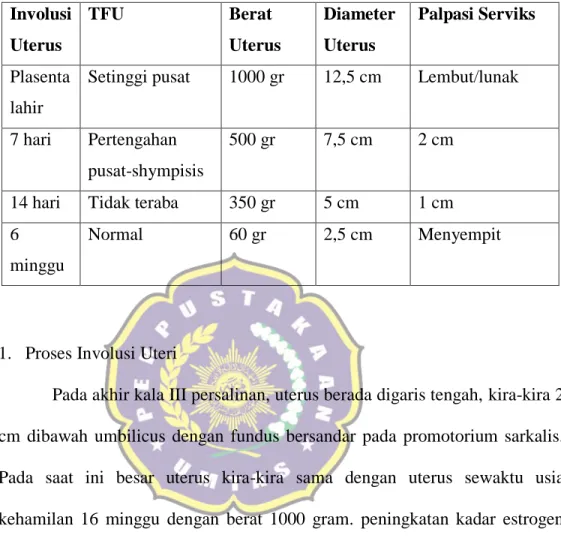 Tabel 2.2 Perubahan Uterus pada masa nifas   Involusi  Uterus   TFU   Berat  Uterus   Diameter Uterus   Palpasi Serviks   Plasenta  lahir  