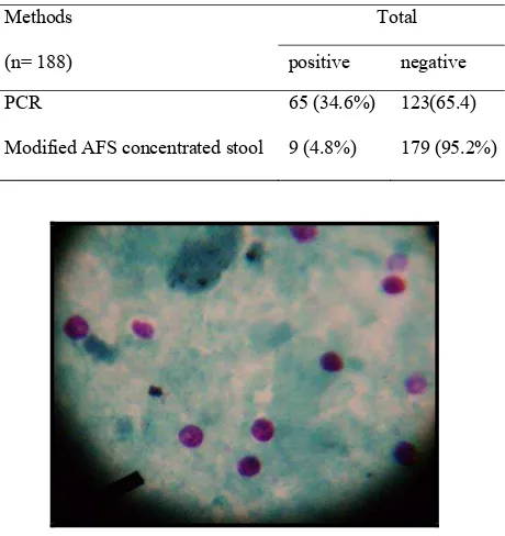 Figure 1. oocysts from stool concentrate, stained with modified acid fast staining (10 40) Figure 1