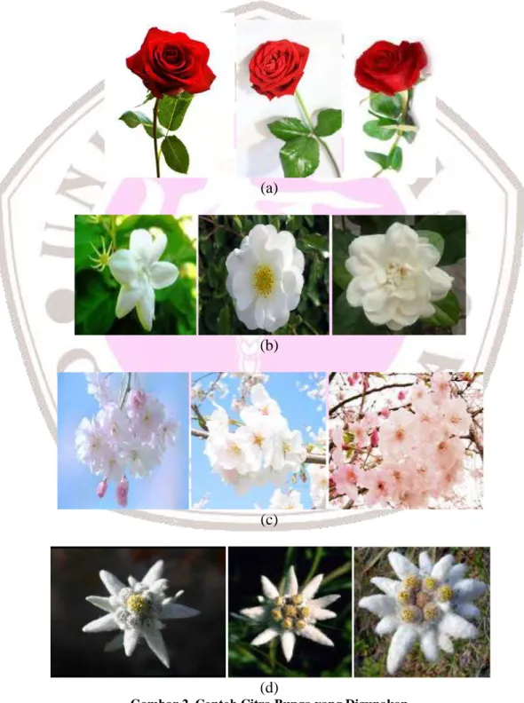 Gambar 2. Contoh Citra Bunga yang Digunakan  (a) Mawar, (b) Melati, (c) Sakura, (d) Edelwais 