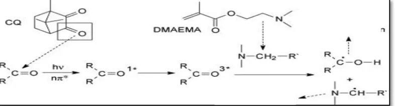 Gambar 5. Skema peranan CQ dan DMAEMA dalam polimerisasi radikal bebas resin komposit.25 
