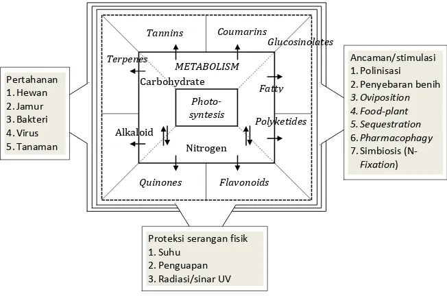 Gambar 1.  Biosintesis metabolit sekunder dan fungsi interaksi 