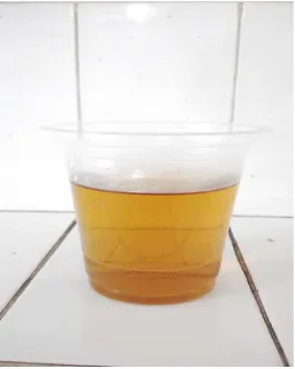 Gambar minuman teh daun gambir 
