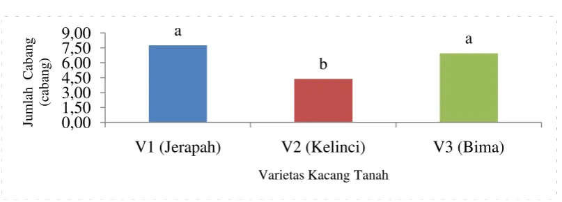 Gambar 2. 9,00aJumlah Cabang