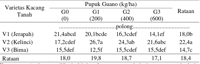 Tabel 3. Jumlah polong per sampel tiga varietas kacang tanah terhadap dosis  pupuk guano